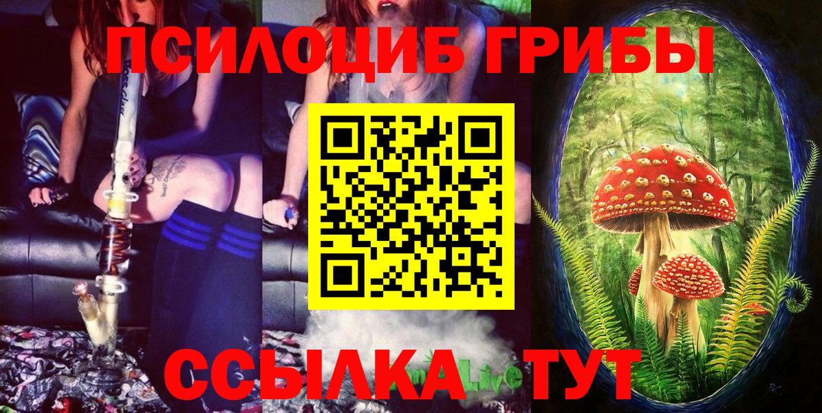 Псилоцибиновые грибы Psilocybe Валуйки